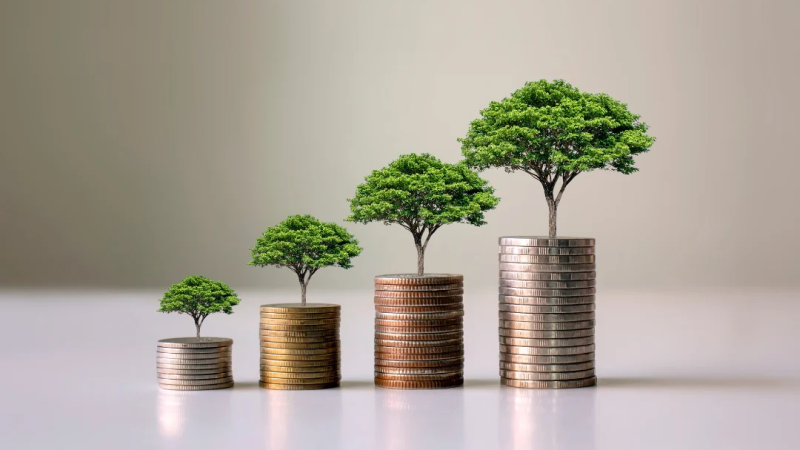 What is the difference between Value, Momentum and Growth investment strategies